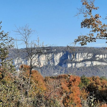 Gite Des 2 Lions Murs-et-Gelignieux Esterno foto